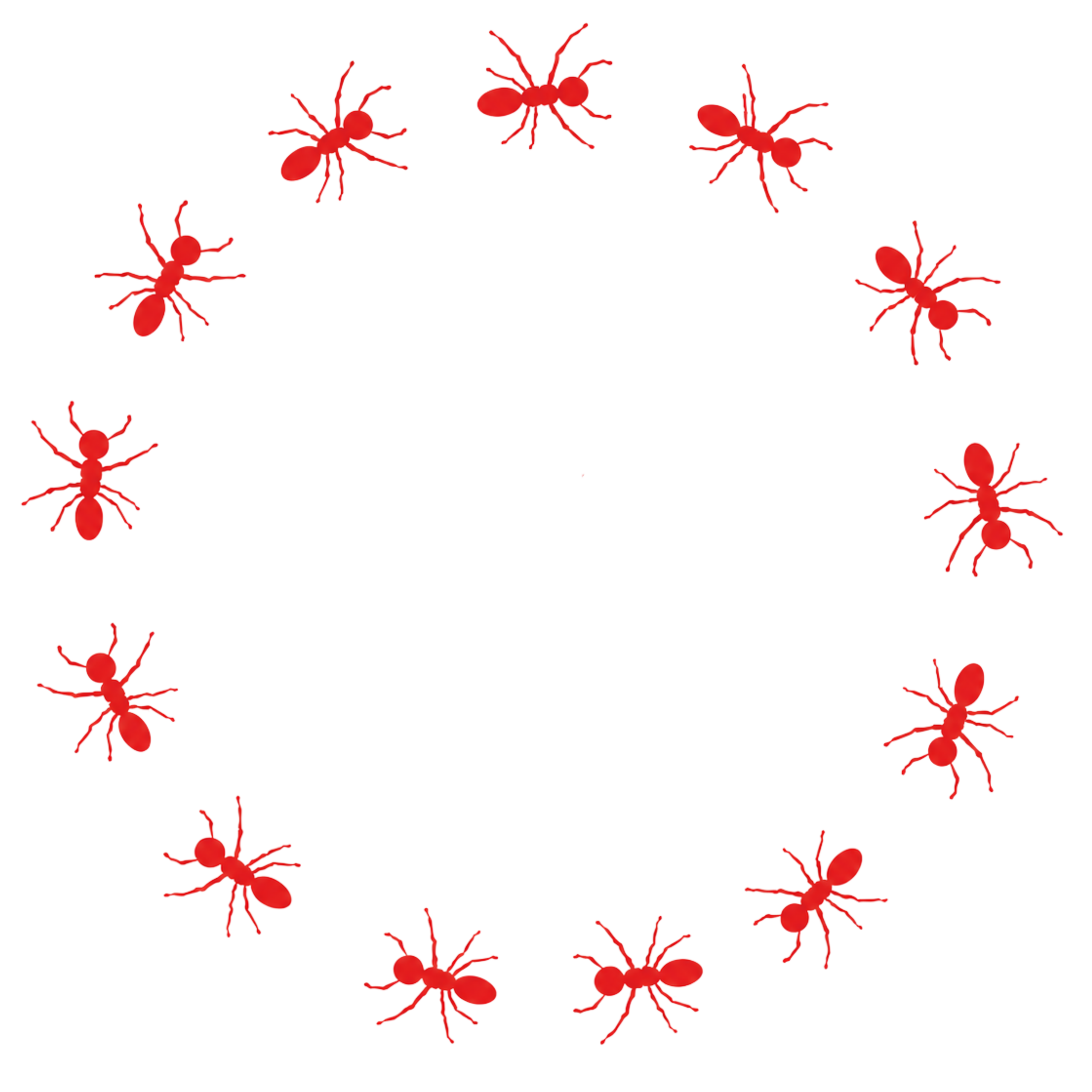 Fire Ant Circle