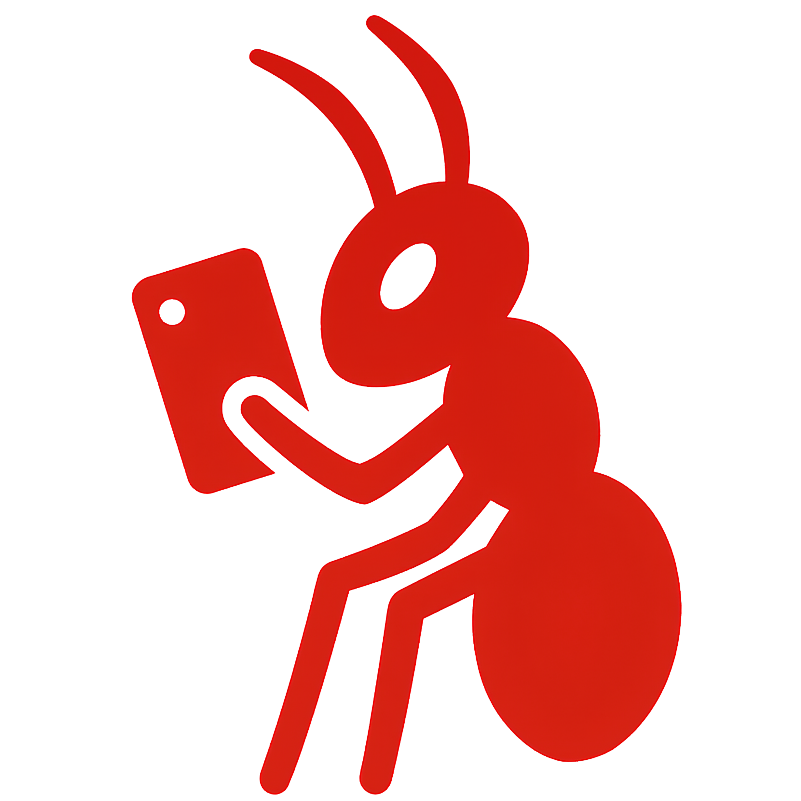 Ant